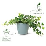 brussels rond 30cm sorbet groen (1)